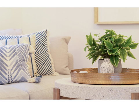 Huge Garden Apartment In The Heart Of Bondi Beach - Accommodation Rockhampton 16