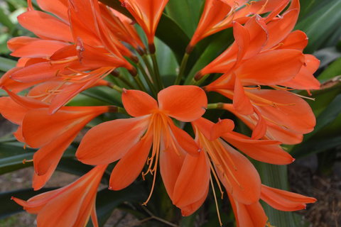 JE Guesthouse, Central To All The Hunter Valley Has To Offer - Accommodation Rockhampton 39