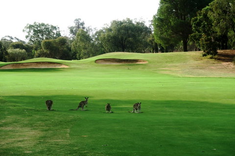 Mulwala Resort - Accommodation Rockhampton 40