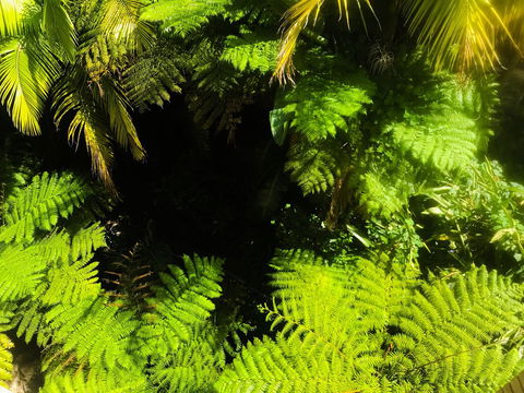 Woollahra Gem, Spectacular Views And Garden Paradise - Accommodation Rockhampton 32