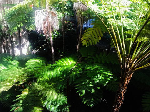 Woollahra Gem, Spectacular Views And Garden Paradise - Accommodation Rockhampton 34