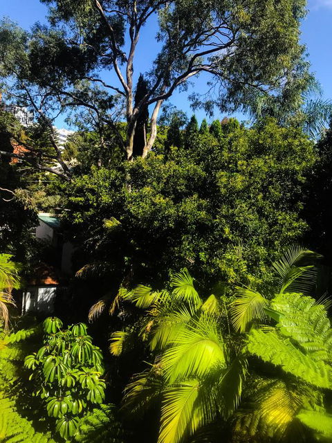 Woollahra Gem, Spectacular Views And Garden Paradise - Accommodation Rockhampton 31
