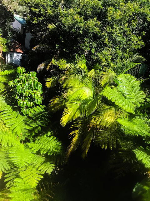Woollahra Gem, Spectacular Views And Garden Paradise - Accommodation Rockhampton 29