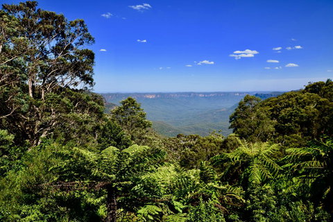 Dangal Gardens - Accommodation Rockhampton 28