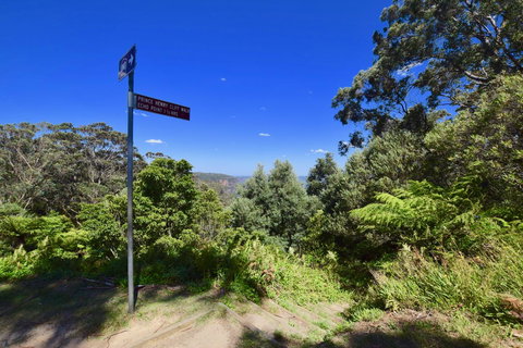 Dangal Gardens - Accommodation Rockhampton 30