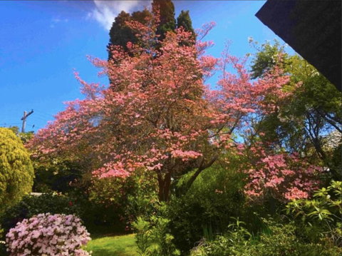 Dangal Gardens - Accommodation Rockhampton 27