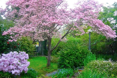 Dangal Gardens - Accommodation Rockhampton 3