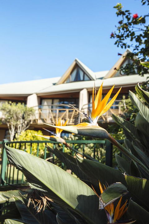 Beach Hotel Resort - Accommodation Rockhampton 36