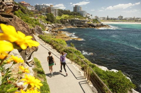BONDI BEACH PRIME 1 Bedroom + Sunroom - Accommodation Rockhampton 16