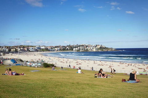 BONDI BEACH PRIME 1 Bedroom + Sunroom - Accommodation Rockhampton 11