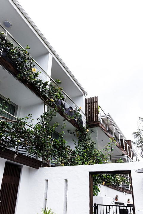 Bannisters By The Sea Mollymook - Accommodation Rockhampton 4