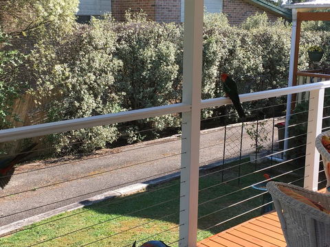 The Best Exotic Magnolia Cottage - Accommodation Rockhampton 15