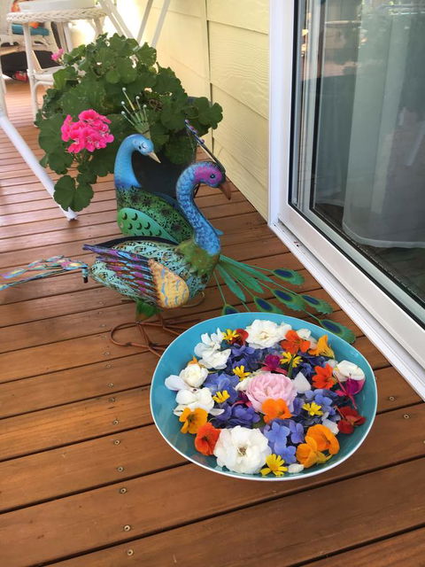 The Best Exotic Magnolia Cottage - Accommodation Rockhampton 8