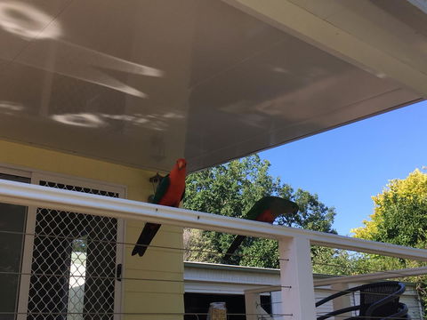 The Best Exotic Magnolia Cottage - Accommodation Rockhampton 11