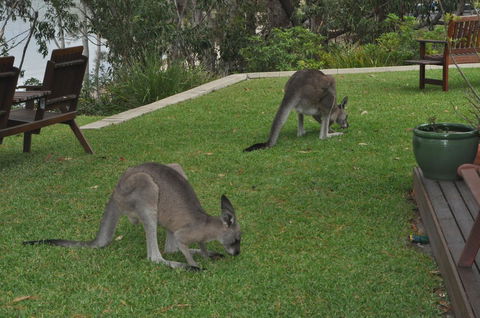 By The Beach B&B Self Contained Apartments - Accommodation Rockhampton 28