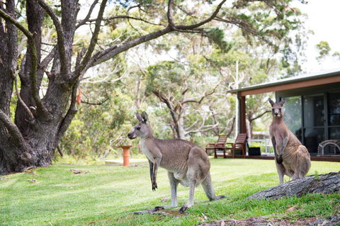 By The Beach B&B Self Contained Apartments - Accommodation Rockhampton 17