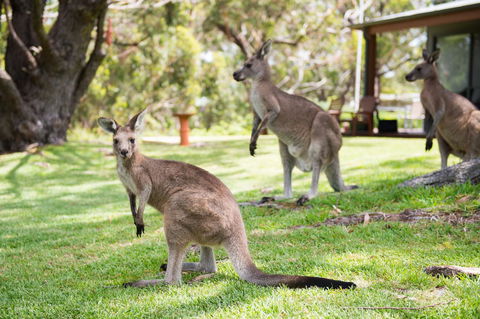 By The Beach B&B Self Contained Apartments - Accommodation Rockhampton 16