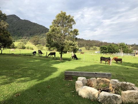 Arcadia - The Barn Cottage & Rosehill Cottage - Accommodation Rockhampton 29