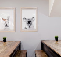 Mad Monkey Backpackers on Broadway - Accommodation Rockhampton