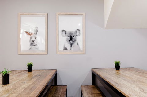 Mad Monkey Broadway - Accommodation Rockhampton 0