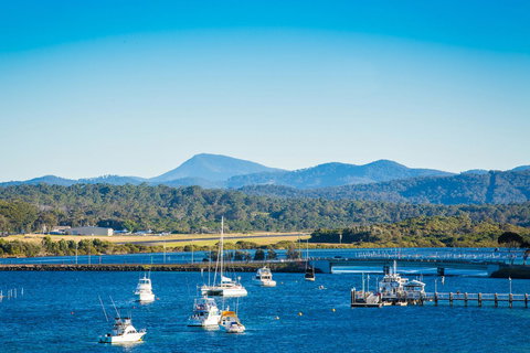 Baywatch Apartments Merimbula - Accommodation Rockhampton 26