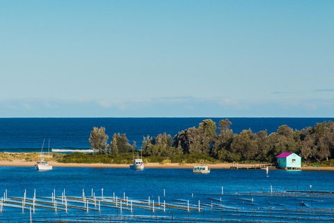 Baywatch Apartments Merimbula - Accommodation Rockhampton 27