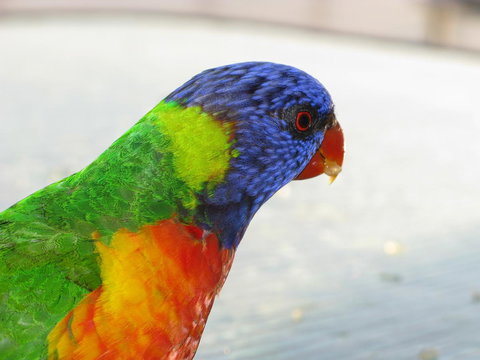 Baywatch Apartments Merimbula - Accommodation Rockhampton 23