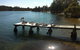 Pelican H2O One & Two Bedroom Apartments - thumb 5