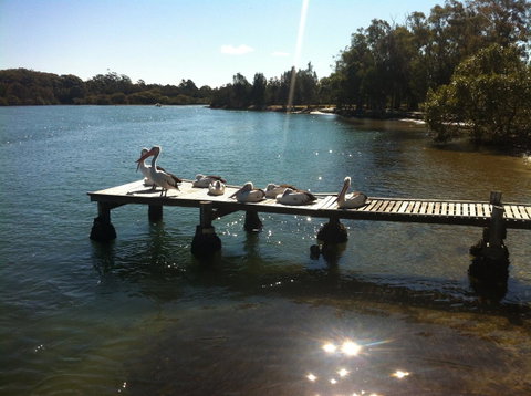 Pelican H2O One & Two Bedroom Apartments - Accommodation Rockhampton 5