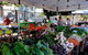 Right On Bondi - thumb 14