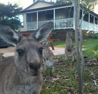 Bush  Bay Cottage - Accommodation Rockhampton