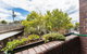 Sydney Harbour Bed And Breakfast - thumb 17