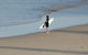 Coastal Horizons Beach House - thumb 20