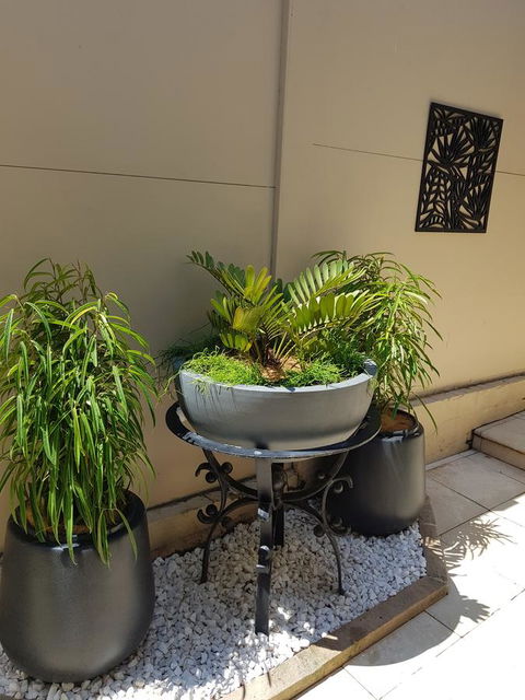 Private Room - Luxury Mosman Home - Accommodation Rockhampton 33