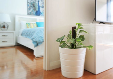Sydney Apartment Close To Airport & CBD - Accommodation Rockhampton 7