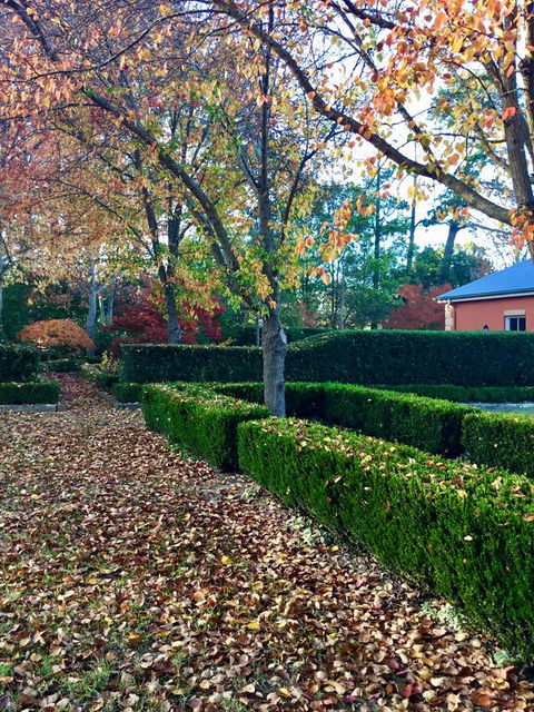 Chanticleer Gardens Barn Cottage With A Pool - Accommodation Rockhampton 37