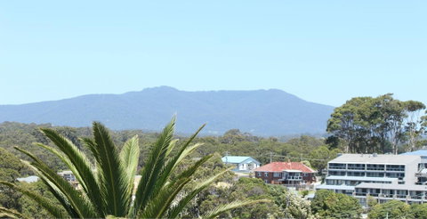 Narooma Palms Holiday Apartments - Accommodation Rockhampton 4