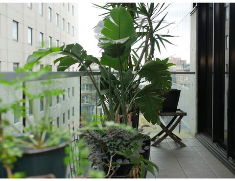 Urban Loft Close To Sydney Hot Spots - Accommodation Rockhampton 11