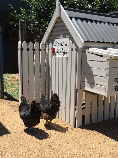 Thelma's Temora - Accommodation Rockhampton 12