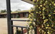 Federation Motel Resort - Corowa - thumb 16