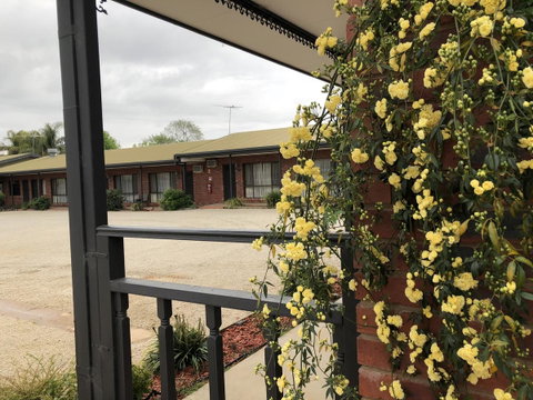 Federation Motel Resort - Corowa - Accommodation Rockhampton 16