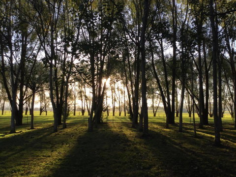 Moruya Motel - Accommodation Rockhampton 39