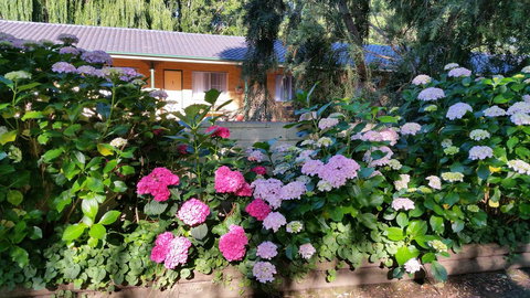 Moruya Motel - Accommodation Rockhampton 28