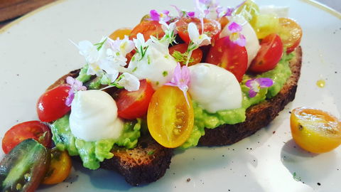 Hotel Indigo Sydney Potts Point, An IHG Hotel - Accommodation Rockhampton 12