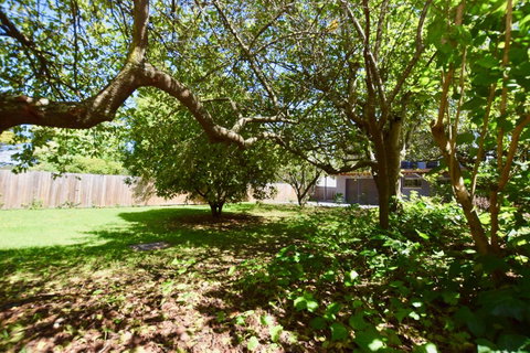 Wildlife Lodge Katoomba - Accommodation Rockhampton 26