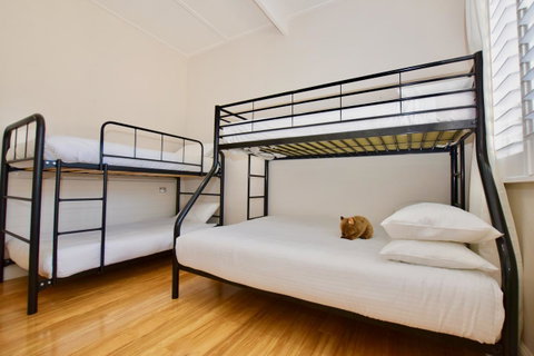 Wildlife Lodge Katoomba - Accommodation Rockhampton 7