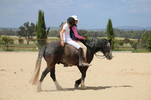 Belisi Farmstay Cottage - Accommodation Rockhampton 28