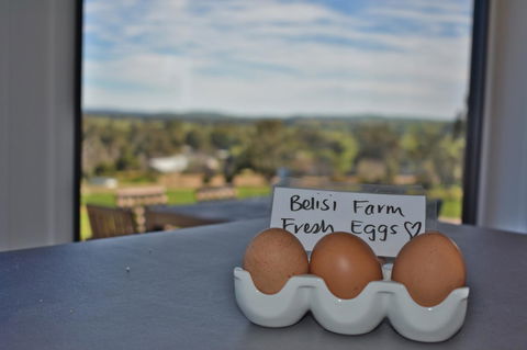 Belisi Farmstay Cottage - Accommodation Rockhampton 20