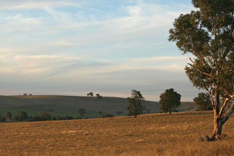 Belisi Farmstay Cottage - Accommodation Rockhampton 33