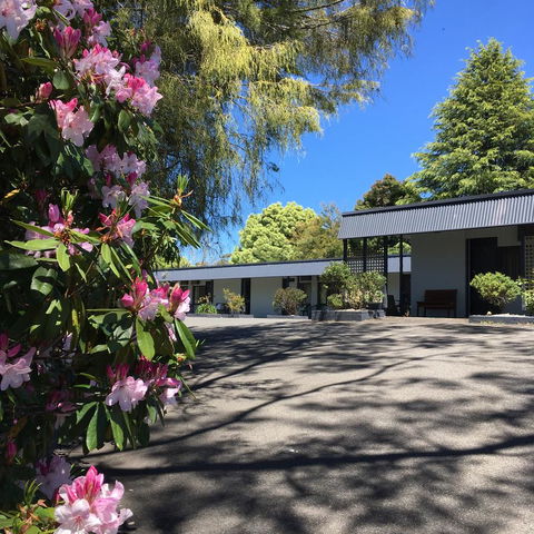 Sky Rider Motor Inn - Accommodation Rockhampton 14